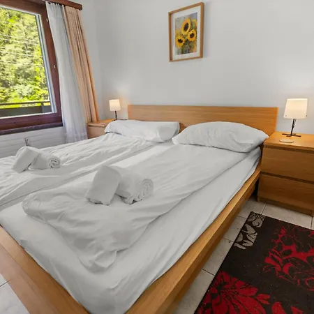 Vue, 2 Terrasses & Parking Prive - Apartment Saas-Grund